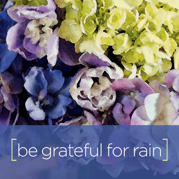 LIveLikeAFlower_BeGreatfulForRain