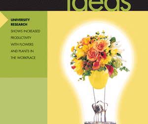 APW Prep: B2B Presentation Portfolios