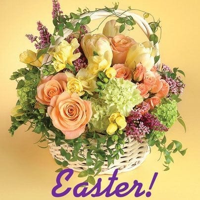 The Easter Bunny Loves Flowers
