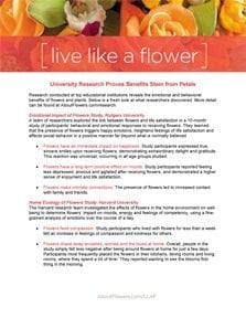 LIVE LIKE A FLOWER - Flower Research LIVE LIKE A FLOWER - Flower Research
