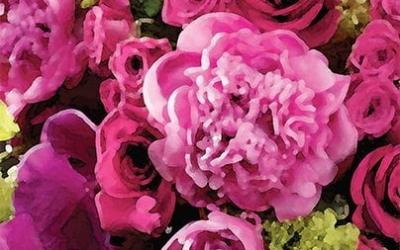 LIVE LIKE A FLOWER: Pollinate