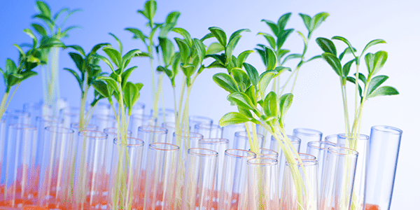 Educators, Students, State Floral Associations and Independent Designers