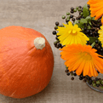 Pumpkin and flowers