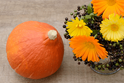 Perk Up Fall Sales With Pumpkin