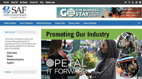 Hey, Good Looking: SAF Website Gets Strategic Update