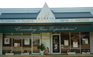 Conforti Sells Beneva Flowers