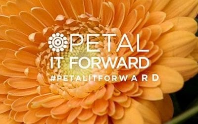 Use Video to Capture Consumer Attention