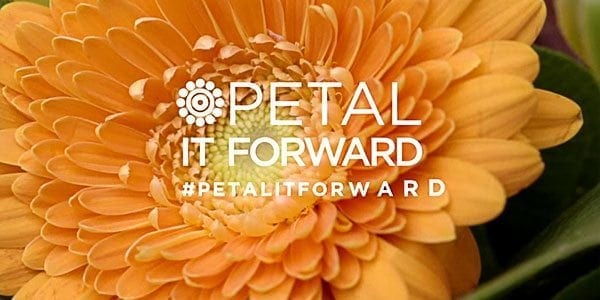 Use Video to Capture Consumer Attention