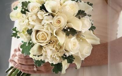 Wedding Resource Center