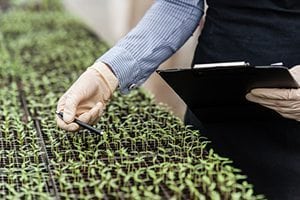 Farm Bill Being Prepared