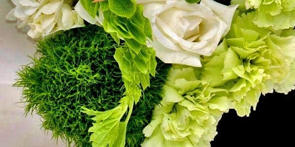 Go Green with St. Patrick’s Day Graphics