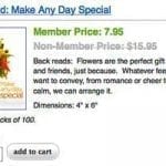 postcard image, make any day special. Image links to www.safnow.org to order the postcard