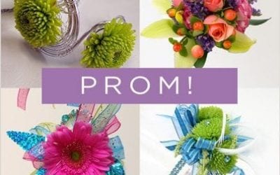 Attract Prom-Goers with Personality Quiz