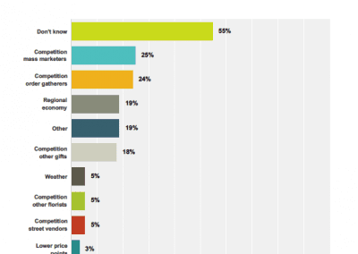 Chart from Mother's Day 2016 Survey
