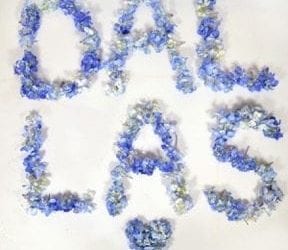 Dallas Florist Describes βQuiet, Shockedβ Atmosphere after Shooting