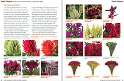 Increase Falls Sales with High Texture Cuts