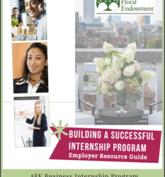 Hosting Interns Just Got Easier