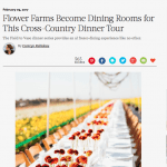 Martha Stewart, American grown field to vase dinner tour table setting