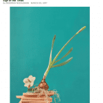 The New York Times that inaccurately described all imported flowers as “jacked up on fungicide, dunked in va