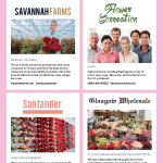 a sample of ads for Floral Management's Rose Buyers Guide