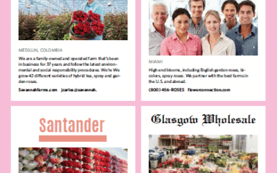 Floral Management’s Rose Guide June 2017