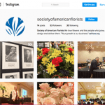 Follow SAF on social media for the latest news on SAF, members and the industry, as well floral business tips and more.