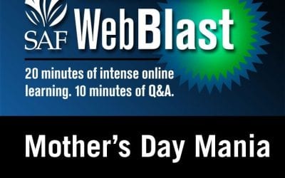 Free WebBlast to Give Mother’s Day Marketing, Sales Pointers