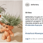 Troll dolls with air plants.