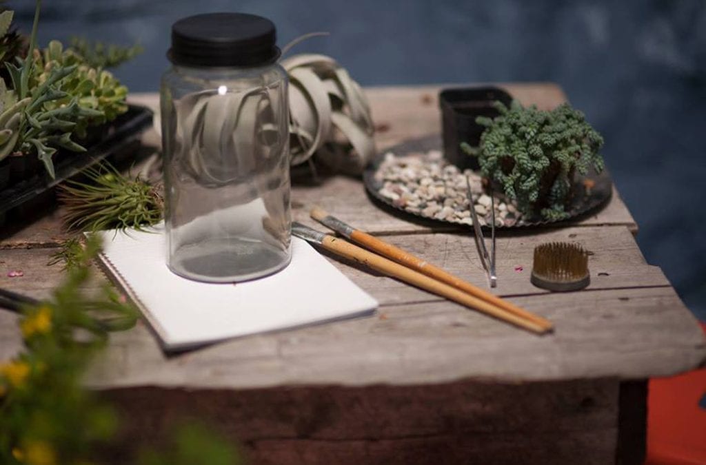 Bring in the Bachelorettes