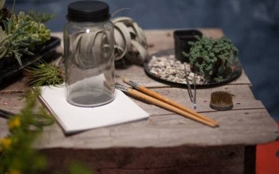 Bring in the Bachelorettes