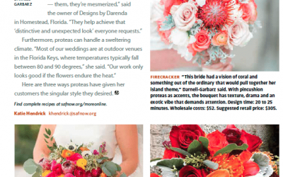 Protea: Go-To Flower for Hot Summer Weddings