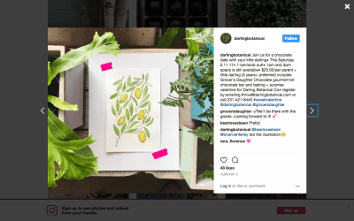 Captive Content: Beating the Instagram Algorithm