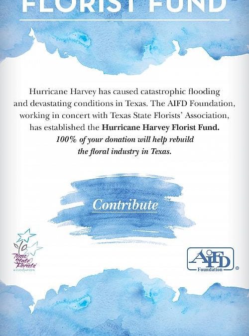 In Houston, Heartache and Hard Work Continue