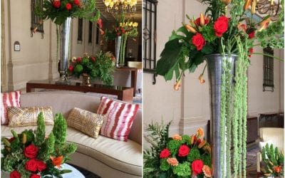 Hurricane Forces Cancelation of SAF Palm Beach 2017