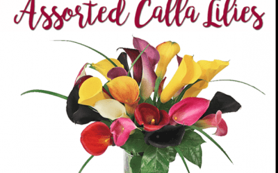 More Effective Email Promos in 3 Steps