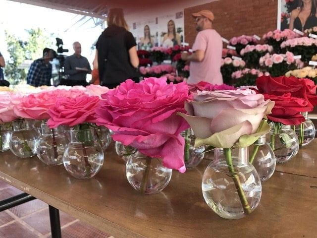 UBloom Launches New Documentary Series about Flowers of Colombia