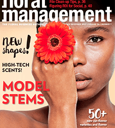 Stock Your Store with New ‘Model’ Stems