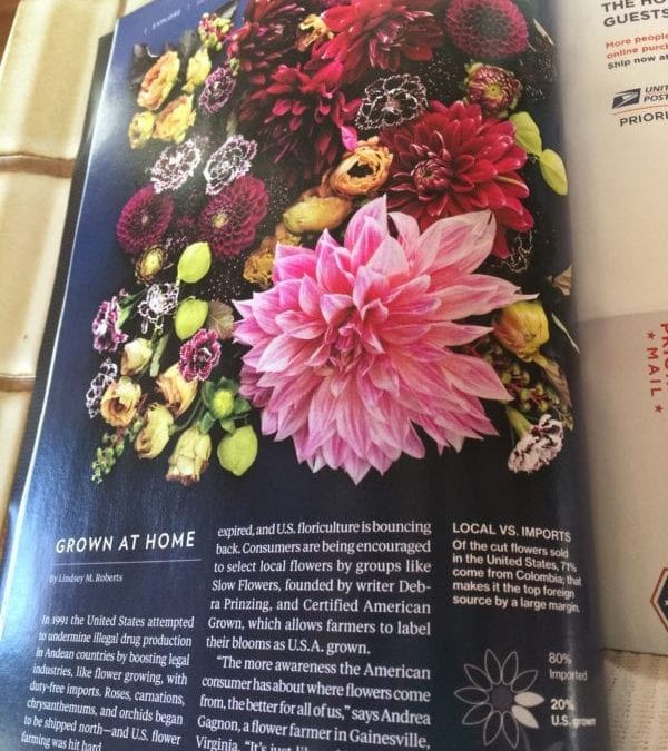 National Geographic Highlights American Grown Effort