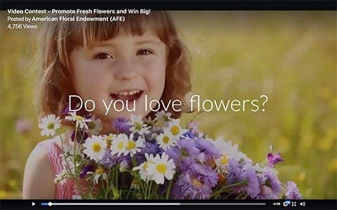 AFE Promotes Video Contest and Giving Tuesday