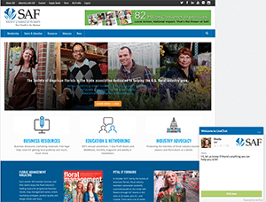 Redesigned SAF Homepage Puts Emphasis on Help and Efficiency