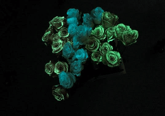 7 Simple Strategies to Improve Your Instagram Game