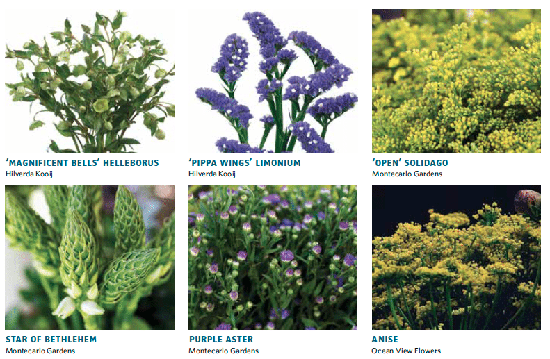 Stop With the ‘F’ Word!