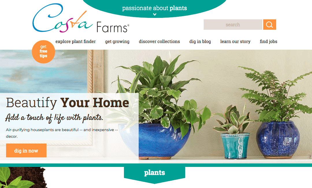 Costa Farms Acquires Green Leaf Nursery