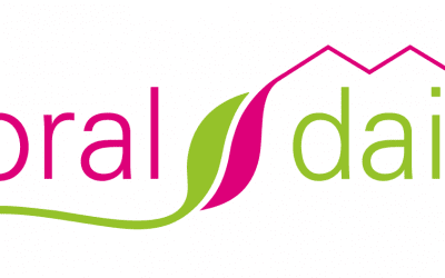 UPS Transports 88 Million Valentine’s Day Flowers