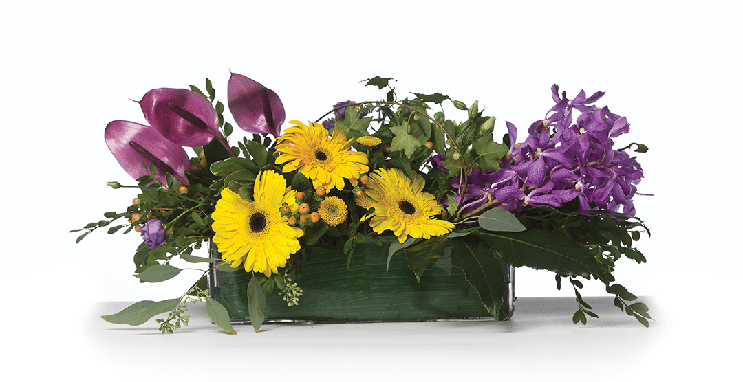 Warm Customers’ Spirits With Tropical Designs