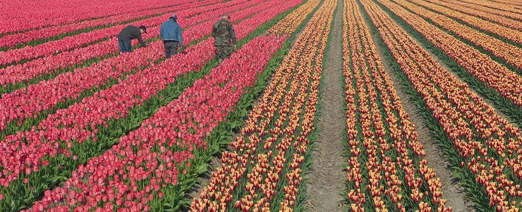 Washington Deep in Farm Bill Drama:  A Detailed Look