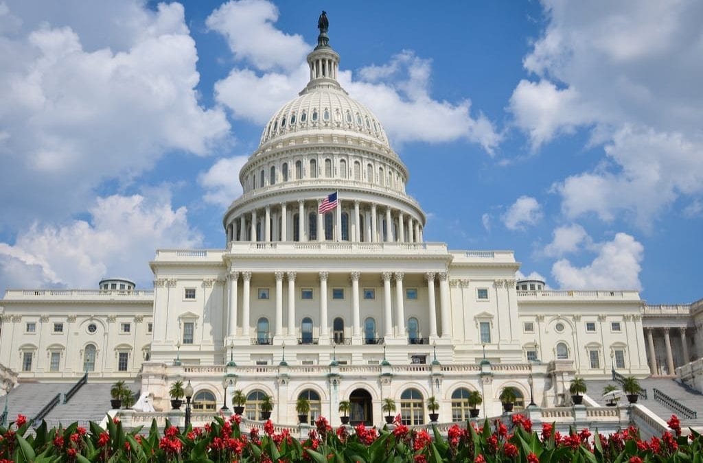 The Legislative Year Ahead