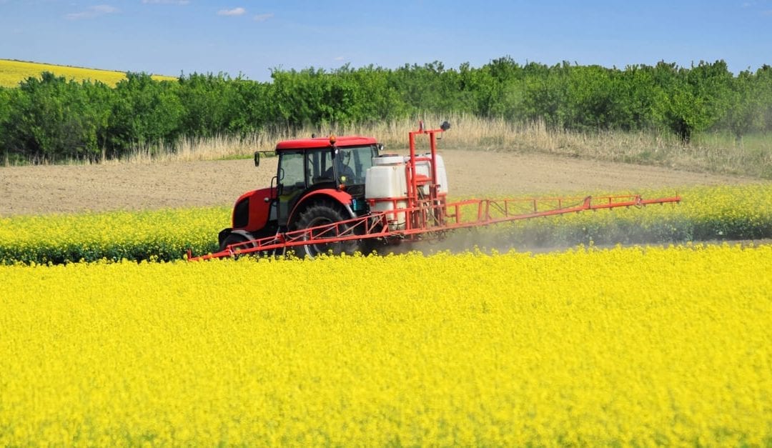 Proposed Farm Bill Offers More Protection for Flower Breeders