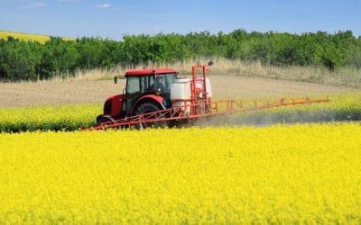 Proposed Farm Bill Offers More Protection for Flower Breeders