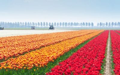 House Approves Farm Bill Conferees